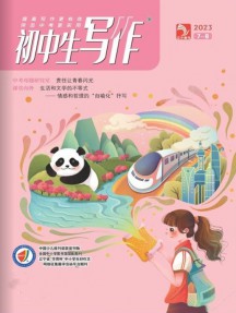 初中生写作